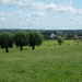 2012-07-29 Everbeek 034