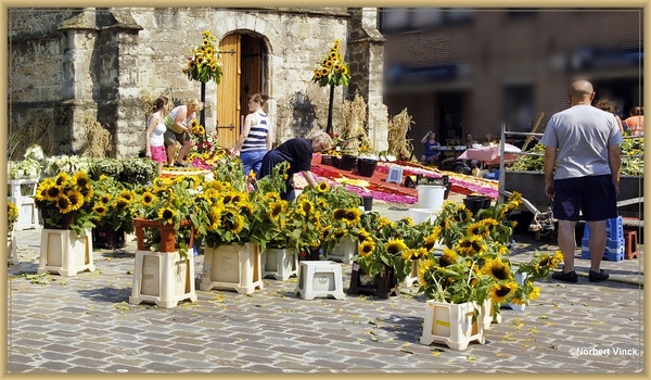 sized_sized_DSC44318a bloementapijt moorsrl