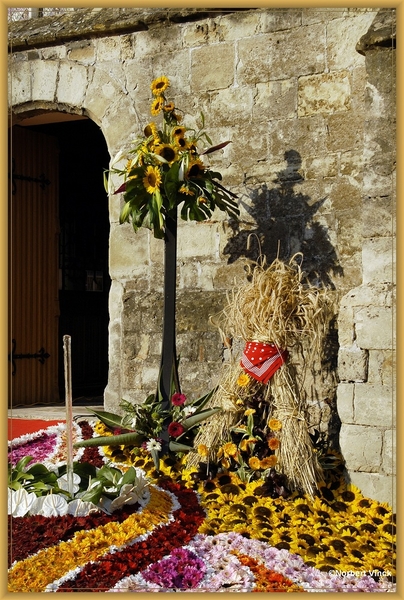 sized_sized_DSC44324a opening bloementapijt Moorsel