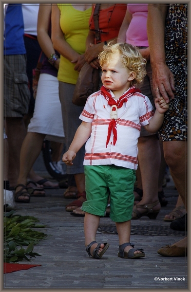 sized_sized_DSC44355a opening bloementapijt Moorsel