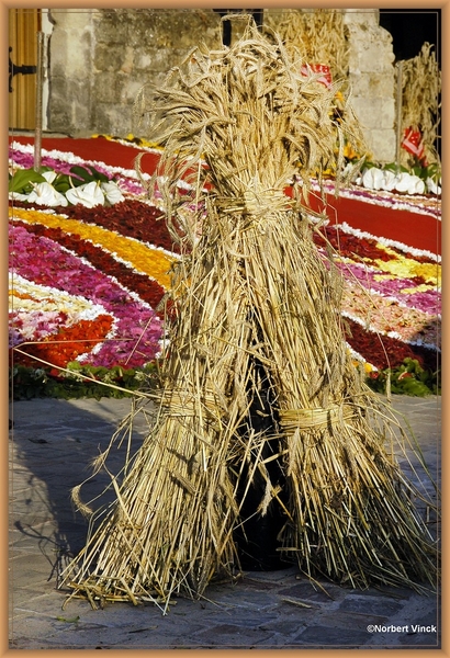 sized_sized_DSC44358a opening bloementapijt Moorsel