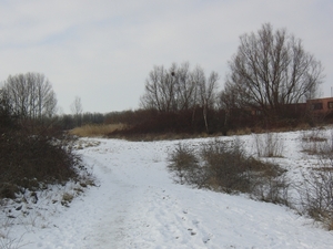 CIMG2367