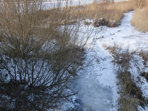 CIMG2377