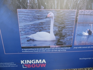 CIMG2471