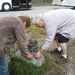 norway2012 250