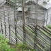 2035 DSCN6391