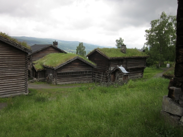 2038T IMG_1499