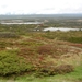 3018 DSCN0522