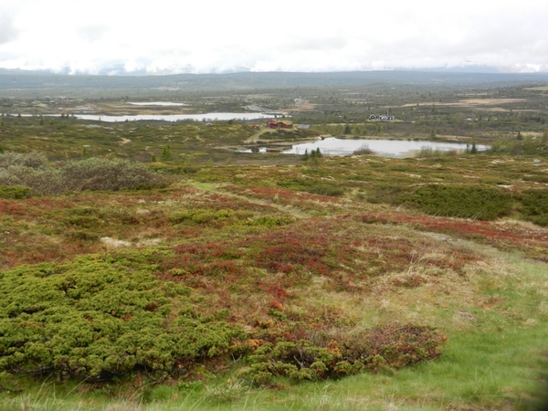 3018 DSCN0522