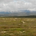 3023 DSCN0523