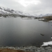 3081 DSCN0605