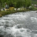 4028DSCN0679