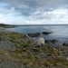 5006 DSCN0710
