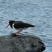 5007 DSCN0714