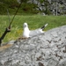 5010 DSCN0716