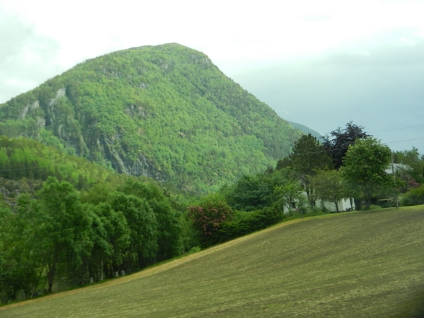 6012 DSCN0760