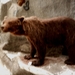 6020 DSCN0780
