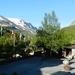 7003 DSCN0841