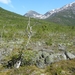 7041 DSCN6886