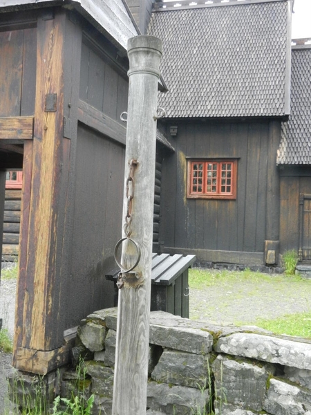 DSCN6364