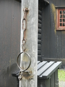 DSCN6365