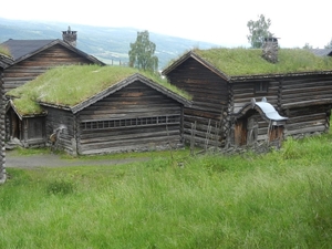 DSCN6372