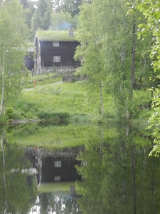 DSCN6373