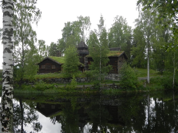 DSCN6376