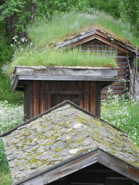 DSCN6380