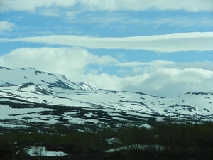 DSCN6556