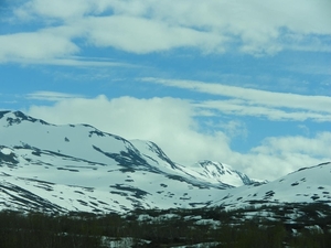 DSCN6566