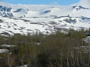 DSCN6570