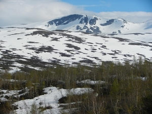 DSCN6571