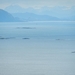 DSCN6704