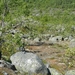 DSCN6885