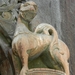 DSCN6957