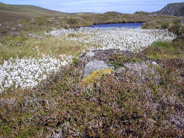 Noorwegen 15 juni-24 juni 2012 245