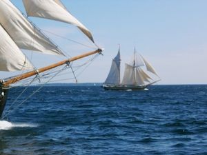 Trachten in te lopen !