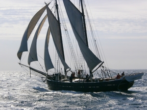 Wind in de zeilen !