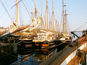 Ochtendglorie in Middelfart !