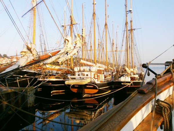 Ochtendglorie in Middelfart !