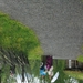 Noorwegen 2012 007