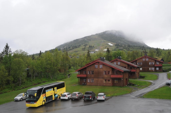 DSC_9920 (2)