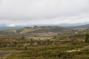 DSC_9923 (2)