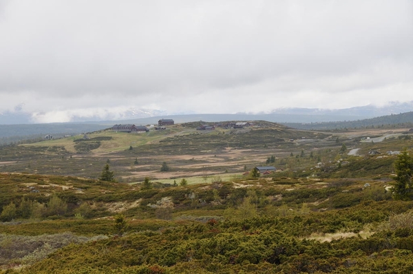 DSC_9923 (2)