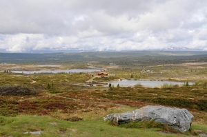 DSC_9937 (2)