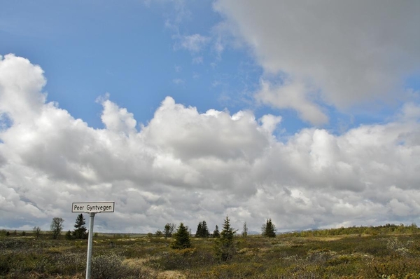 DSC_9945 (2)