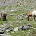 Solden Oostenrijk 053