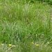 Solden Oostenrijk 120