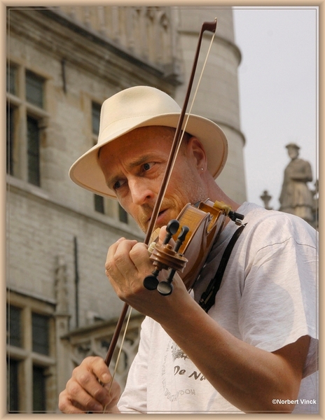 sized_sized_DSC44499a pîkkeling in aalst-nogal neig